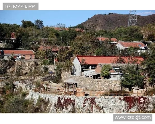 庆州市原与江陵的精彩对决揭示了两地文化与历史的深厚渊源与现代发展潜力